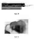 Fig. 08 - Polycistronic vector for human induced pluripotent stem cell production