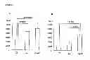 Fig. 03 - Method of separating pancreatic islet