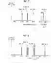 Fig. 06 - METHOD FOR PRODUCING PLASMA DISPLAY PANEL