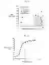 Fig. 08 - METHOD FOR PRODUCING PLASMA DISPLAY PANEL