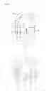 Fig. 04 - Yoke for a cross type universal joint and manufacturing method thereof