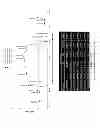 Fig. 09 - METHODS AND COMPOSITIONS FOR CORRELATING GENETIC MARKERS WITH CARDIOVASCULAR DISEASE