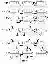 Fig. 06 - Factor VIII Compositions and Methods of Making and Using Same