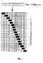 Fig. 09 - Factor VIII Compositions and Methods of Making and Using Same