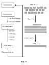Fig. 12 - Factor VIII Compositions and Methods of Making and Using Same