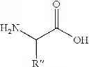 Fig. 06 - GLYCOSIDE DERIVATIVES AND USES THEREOF