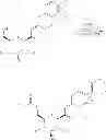 Fig. 41 - GLYCOSIDE DERIVATIVES AND USES THEREOF