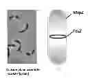 Fig. 01 - Antimicrobial compositions and methods of use thereof