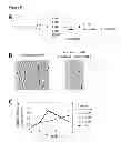 Fig. 08 - Antimicrobial compositions and methods of use thereof