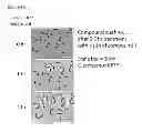Fig. 09 - Antimicrobial compositions and methods of use thereof
