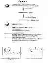 Fig. 02 - RNA interference mediated inhibition of gene expression using chemically modified short interfering nucleic acid (siNA)