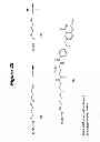 Fig. 44 - RNA interference mediated inhibition of gene expression using chemically modified short interfering nucleic acid (siNA)