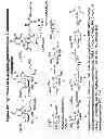Fig. 47 - RNA interference mediated inhibition of gene expression using chemically modified short interfering nucleic acid (siNA)