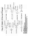 Fig. 58 - RNA interference mediated inhibition of gene expression using chemically modified short interfering nucleic acid (siNA)