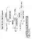 Fig. 63 - RNA interference mediated inhibition of gene expression using chemically modified short interfering nucleic acid (siNA)