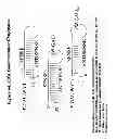 Fig. 65 - RNA interference mediated inhibition of gene expression using chemically modified short interfering nucleic acid (siNA)