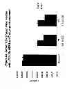 Fig. 89 - RNA interference mediated inhibition of gene expression using chemically modified short interfering nucleic acid (siNA)