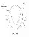 Fig. 02 - Body Adhering Absorbent Aticle