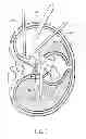 Fig. 04 - ELECTRICAL STIMULATION OF THE SYMPATHETIC NERVE CHAIN
