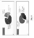 Fig. 06 - Integration of data mining and static analysis for hardware design verification
