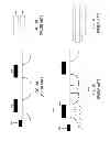 Fig. 05 - High-speed SRAM