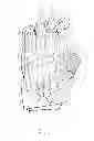 Fig. 04 - TACTICAL GLOVE