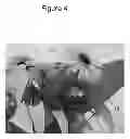 Fig. 05 - GARDENING GLOVE HAVING A CUTTING TOOL