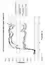Fig. 05 - High SRI systems for cementitious applications