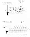 Fig. 08 - HEAT EXCHANGER