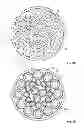 Fig. 03 - Primary wire for marine and sub-sea cable