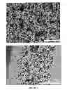 Fig. 02 - Nanoparticle Electrodes and Methods of Preparation