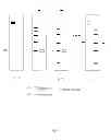 Fig. 08 - METHODS, CASSETTES, GELS AND APPARATUSES FOR ISOLATION AND COLLECTION OF BIOMOLECULES FROM ELECTROPHORESIS GELS