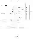Fig. 09 - METHODS, CASSETTES, GELS AND APPARATUSES FOR ISOLATION AND COLLECTION OF BIOMOLECULES FROM ELECTROPHORESIS GELS