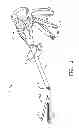 Fig. 03 - SURGICAL INSTRUMENT