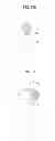 Fig. 17 - Lighting system and display apparatus using the same