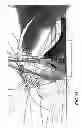 Fig. 09 - Lens with controlled backlight management