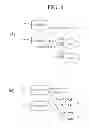 Fig. 07 - Method for providing information such that different types of access points can coexist