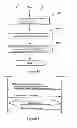 Fig. 09 - Method, base station, terminal and communication system for selecting a component carrier