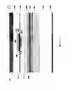 Fig. 04 - Single-frequency distributed feedback laser diode with complex-coupling coefficient and transparent conductive cladding layer