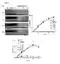 Fig. 02 - Polyamino polyketide antibiotics and uses thereof