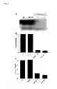 Fig. 03 - Polyamino polyketide antibiotics and uses thereof