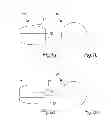 Fig. 02 - STABLE MEDICATED CHEWING GUM COMPRISING CYCLODEXTRIN INCLUSION COMPLEX