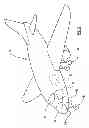 Fig. 03 - Display System