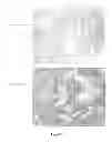 Fig. 34 - Colon and Rectal Tumor Markers and Methods of Use Thereof