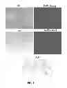 Fig. 08 - DENTAL STEM CELL REPROGRAMMING
