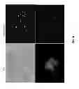 Fig. 09 - DENTAL STEM CELL REPROGRAMMING