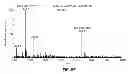 Fig. 22 - Coupling of liquid chromatography with mass spectrometry by liquid sample desorption electrospray ionization (DESI)