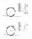 Fig. 02 - Cellulase gene