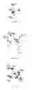 Fig. 09 - Preparation of functionalized zeolitic frameworks