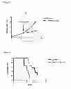 Fig. 07 - Oligopeptide compounds and uses thereof